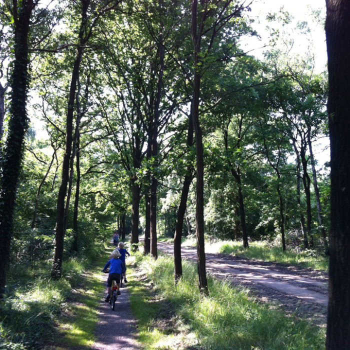 Leuke fietstocht